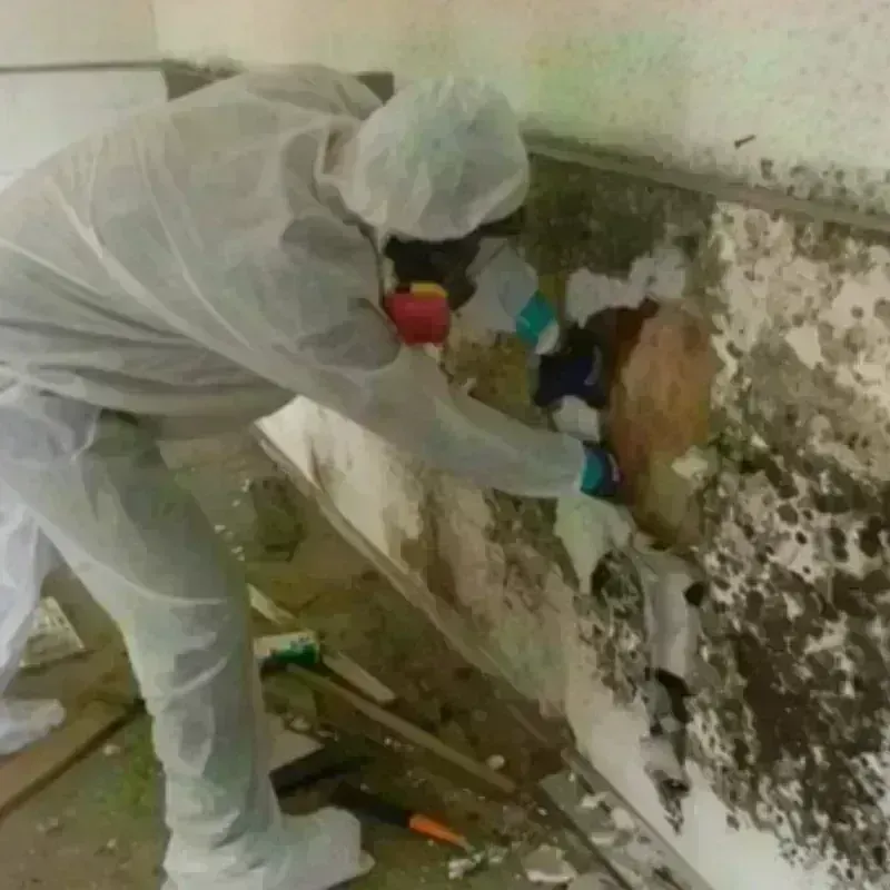 Mold Remediation and Removal in Offutt Air Force Base, NE